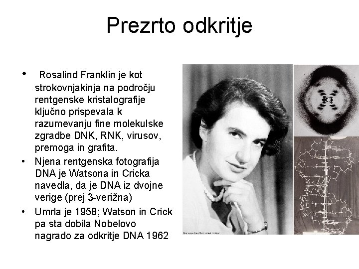 Prezrto odkritje • Rosalind Franklin je kot strokovnjakinja na področju rentgenske kristalografije ključno prispevala
