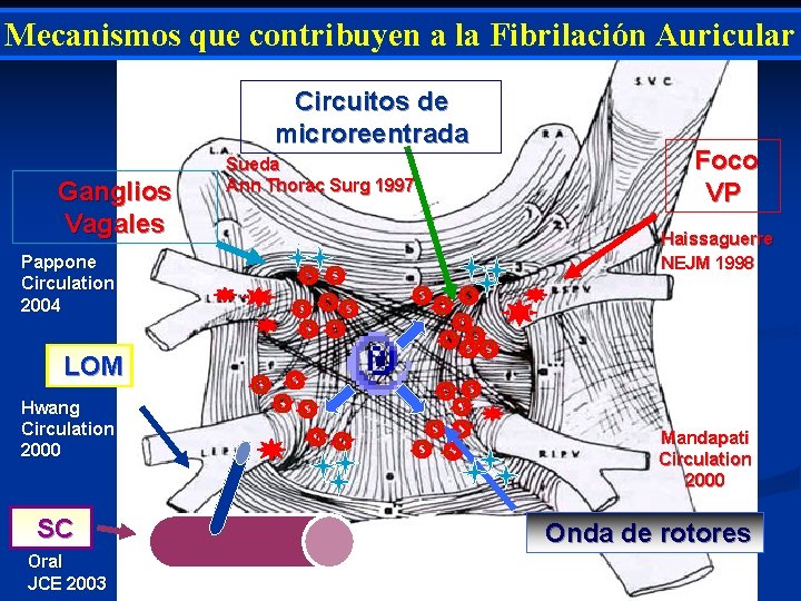 Mecanismos que contribuyen a la Fibrilación Auricular Circuitos de microreentrada Ganglios Vagales Pappone Circulation Mecanismos que contribuyen a la Fibrilación Auricular Circuitos de microreentrada Ganglios Vagales Pappone Circulation