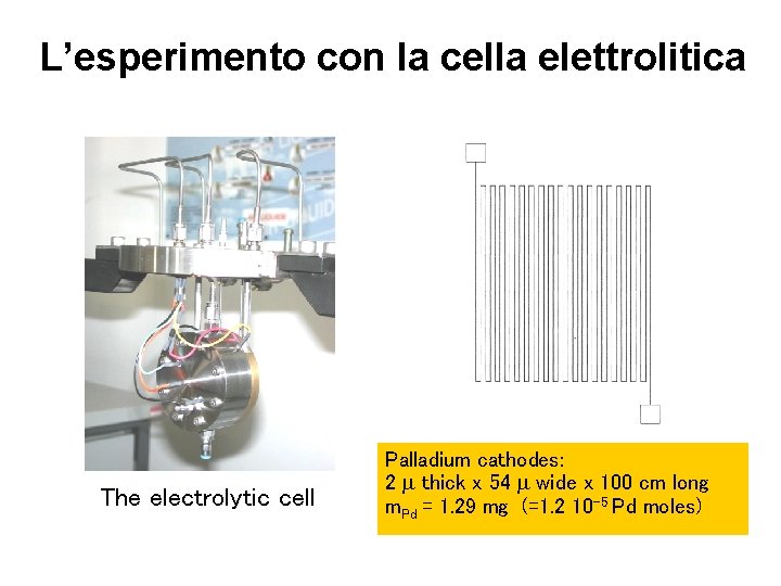 L’esperimento con la cella elettrolitica The electrolytic cell Palladium cathodes: 2 m thick x