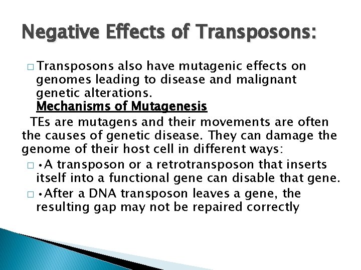 Negative Effects of Transposons: � Transposons also have mutagenic effects on genomes leading to