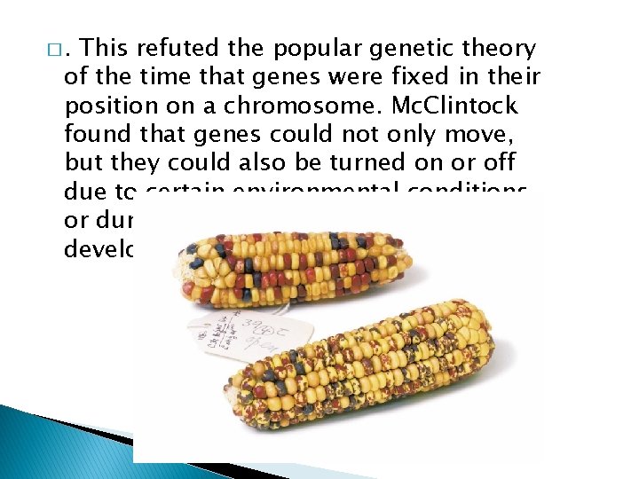 �. This refuted the popular genetic theory of the time that genes were fixed