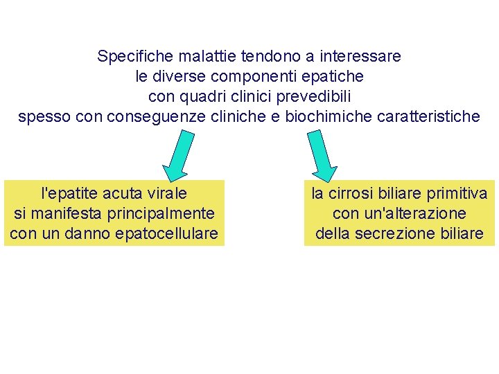 Specifiche malattie tendono a interessare le diverse componenti epatiche con quadri clinici prevedibili spesso
