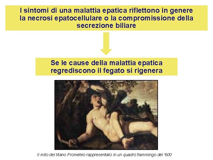 I sintomi di una malattia epatica riflettono in genere la necrosi epatocellulare o la