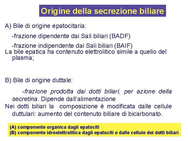 Origine della secrezione biliare A) Bile di origine epatocitaria: -frazione dipendente dai Sali biliari