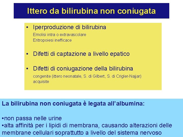 Ittero da bilirubina non coniugata • Iperproduzione di bilirubina Emolisi intra o extravascolare Eritropoiesi