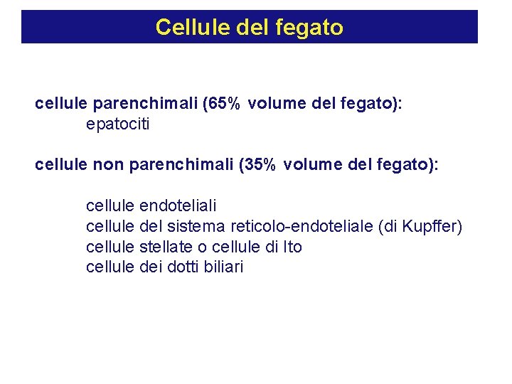 Cellule del fegato cellule parenchimali (65% volume del fegato): epatociti cellule non parenchimali (35%