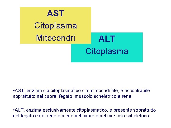 AST Citoplasma Mitocondri ALT Citoplasma • AST, enzima sia citoplasmatico sia mitocondriale, é riscontrabile