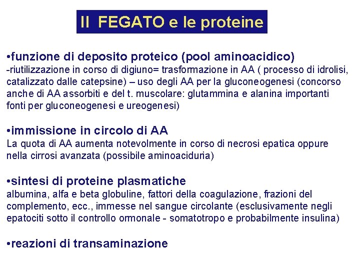 Il FEGATO e le proteine • funzione di deposito proteico (pool aminoacidico) -riutilizzazione in