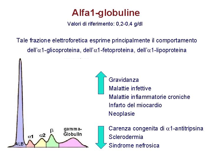 Alfa 1 -globuline Valori di riferimento: 0, 2 -0, 4 g/dl Tale frazione elettroforetica