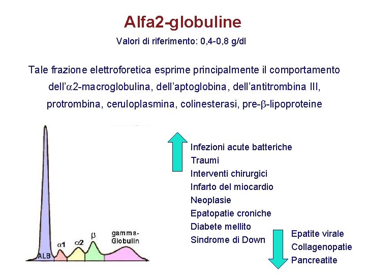 Alfa 2 -globuline Valori di riferimento: 0, 4 -0, 8 g/dl Tale frazione elettroforetica