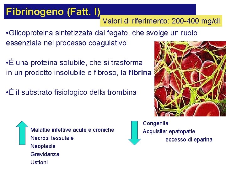 Fibrinogeno (Fatt. I) Valori di riferimento: 200 -400 mg/dl • Glicoproteina sintetizzata dal fegato,