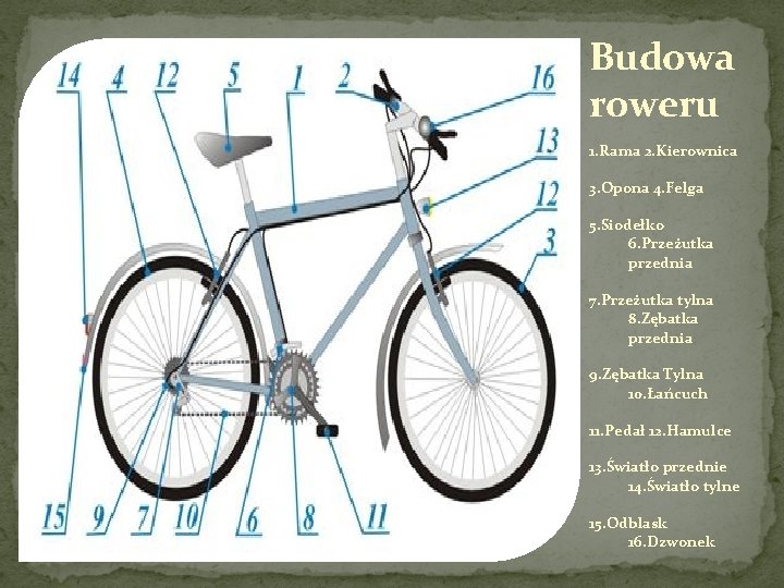 Budowa roweru 1. Rama 2. Kierownica 3. Opona 4. Felga 5. Siodełko 6. Przeżutka