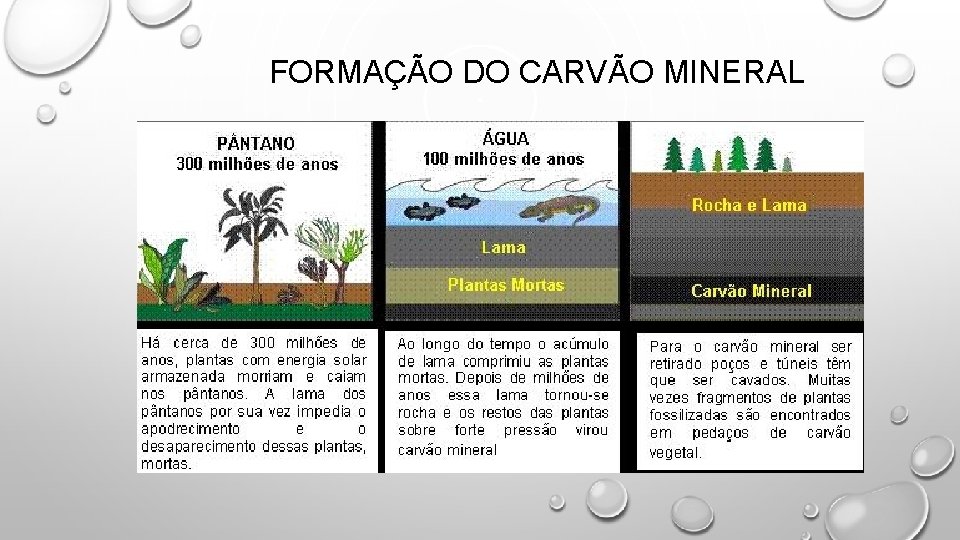 FORMAÇÃO DO CARVÃO MINERAL 