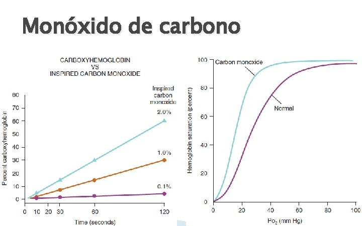 Monóxido de carbono 