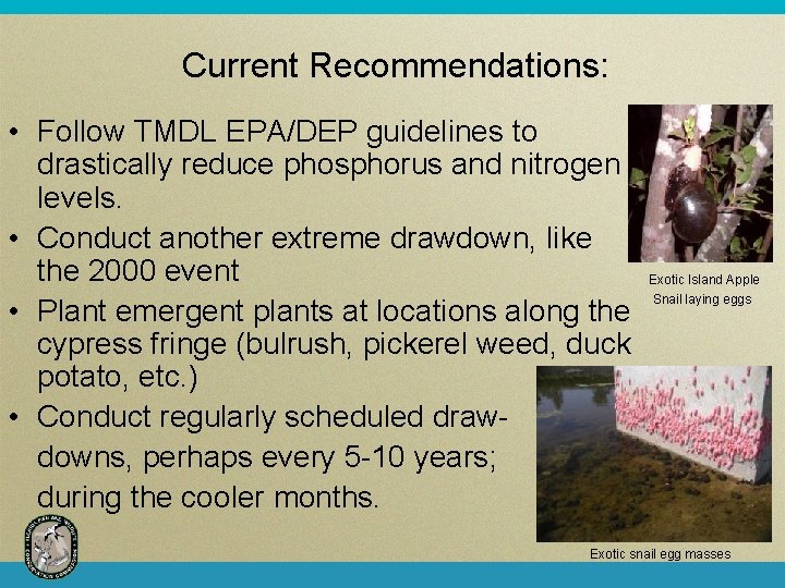 Current Recommendations: • Follow TMDL EPA/DEP guidelines to drastically reduce phosphorus and nitrogen levels.