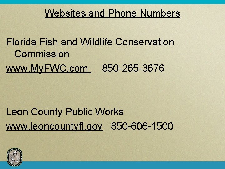 Websites and Phone Numbers Florida Fish and Wildlife Conservation Commission www. My. FWC. com