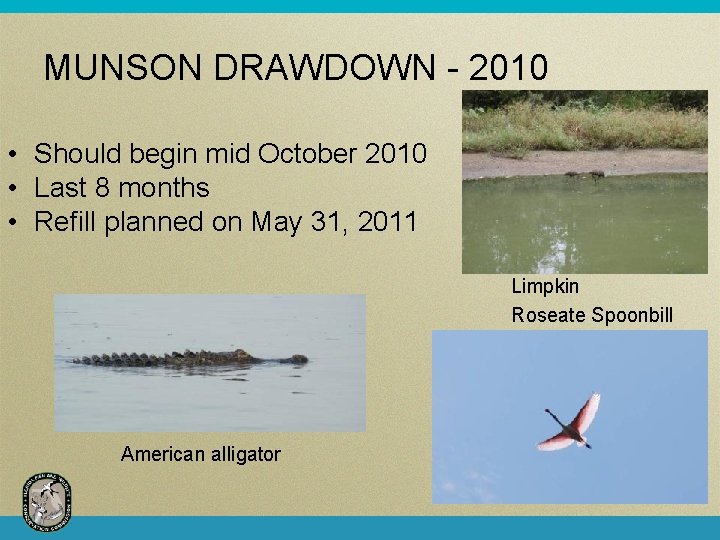 MUNSON DRAWDOWN - 2010 • Should begin mid October 2010 • Last 8 months