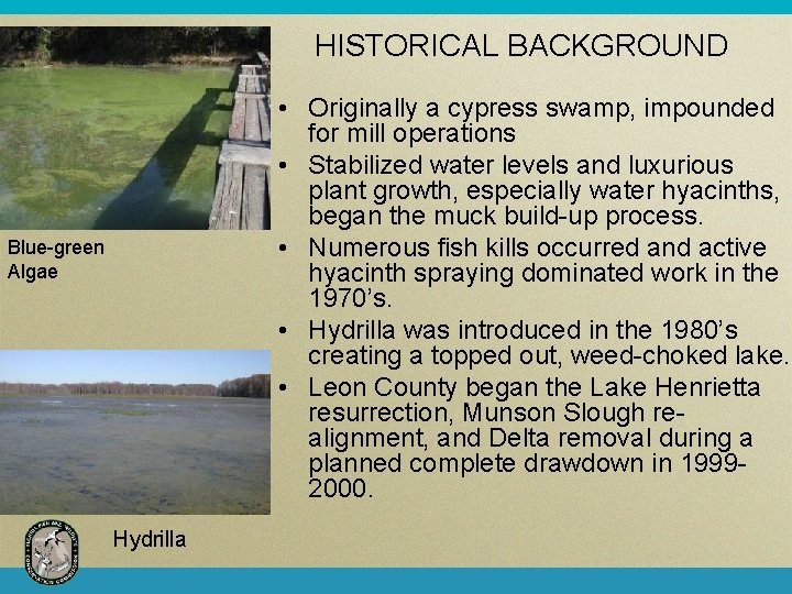 HISTORICAL BACKGROUND • Originally a cypress swamp, impounded for mill operations • Stabilized water