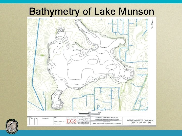 Bathymetry of Lake Munson 