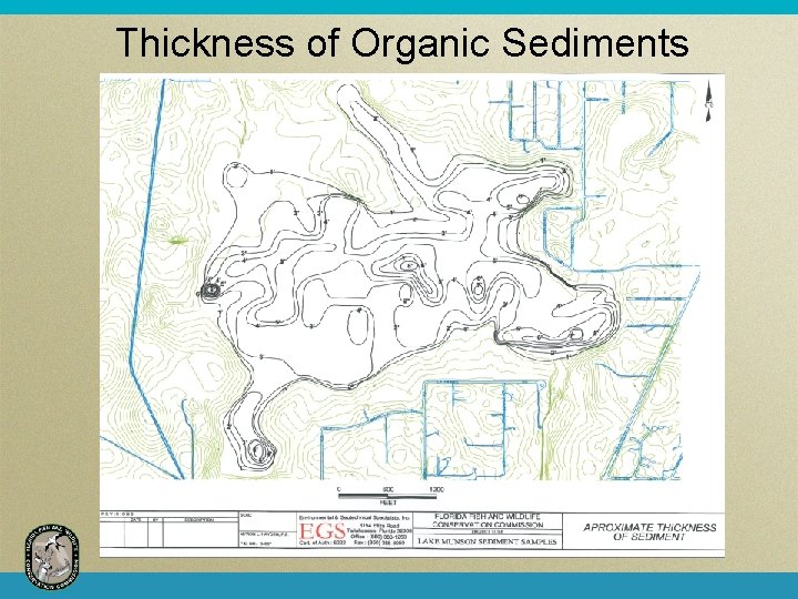 Thickness of Organic Sediments 