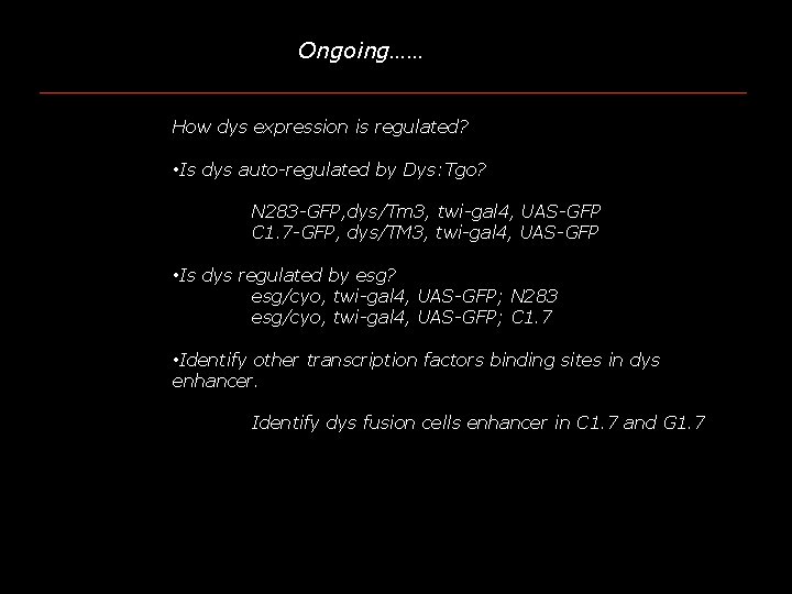 Ongoing…… How dys expression is regulated? • Is dys auto-regulated by Dys: Tgo? N