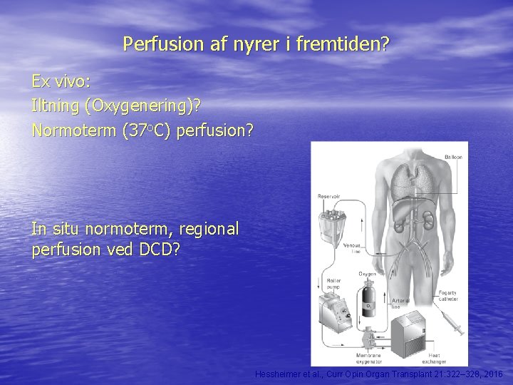 Perfusion af nyrer i fremtiden? Ex vivo: Iltning (Oxygenering)? Normoterm (37 o. C) perfusion?