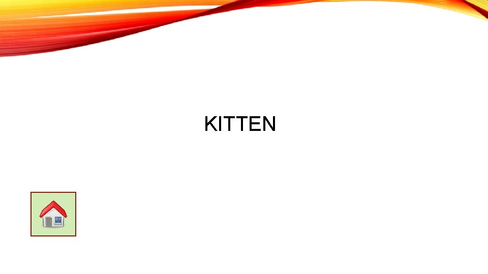 KITTEN 