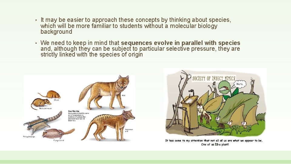  • It may be easier to approach these concepts by thinking about species,