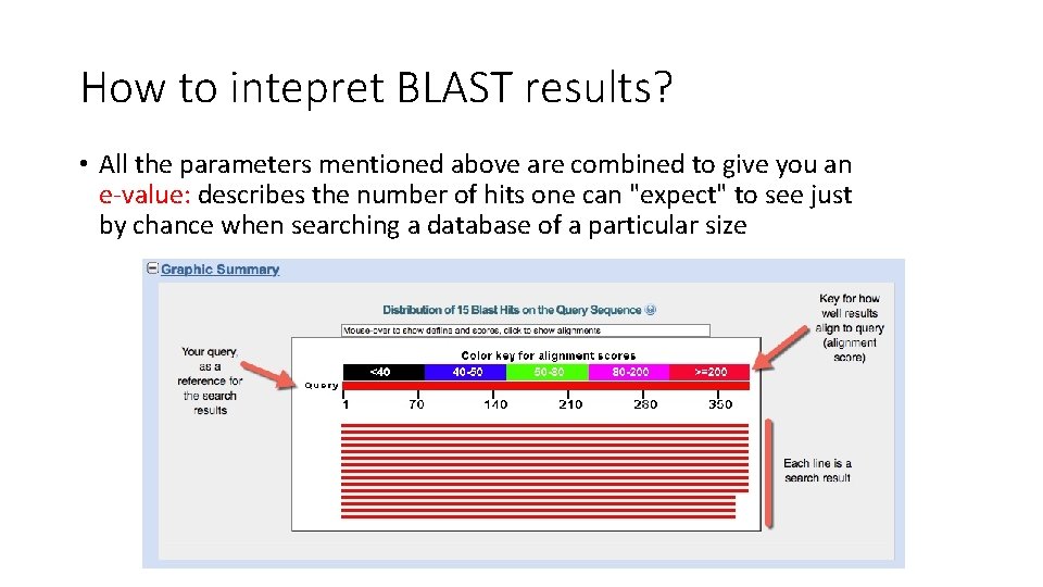 How to intepret BLAST results? • All the parameters mentioned above are combined to