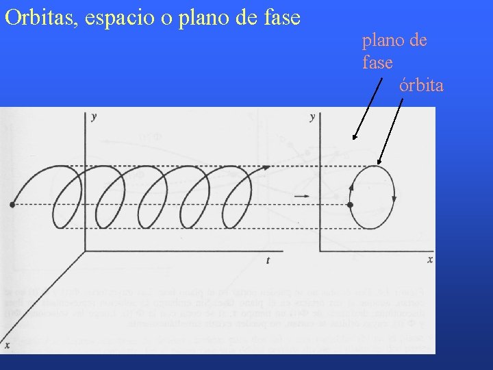 Orbitas, espacio o plano de fase órbita 