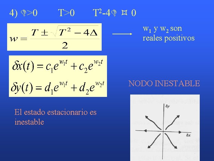 4) >0 T 2 -4 0 w 1 y w 2 son reales positivos