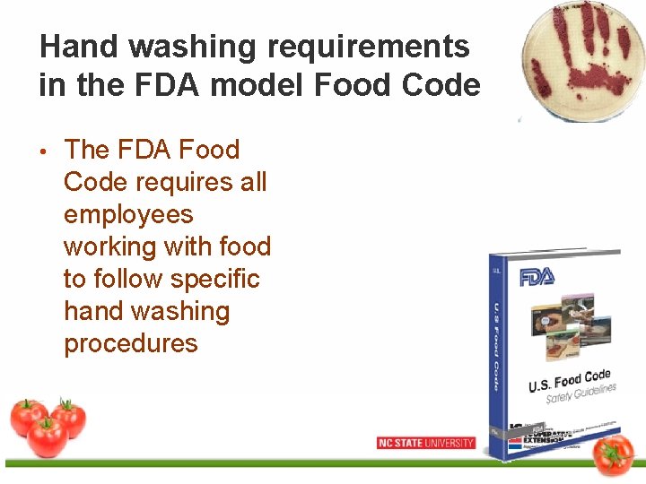 Hand washing requirements in the FDA model Food Code • The FDA Food Code