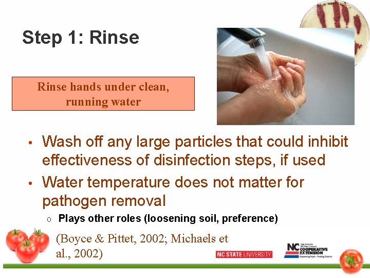 Step 1: Rinse hands under clean, running water • • Wash off any large