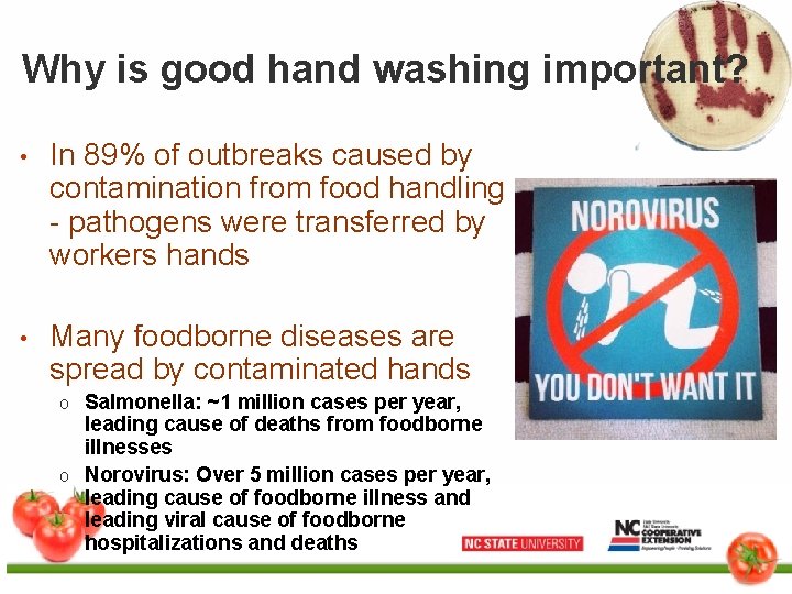 Why is good hand washing important? • In 89% of outbreaks caused by contamination