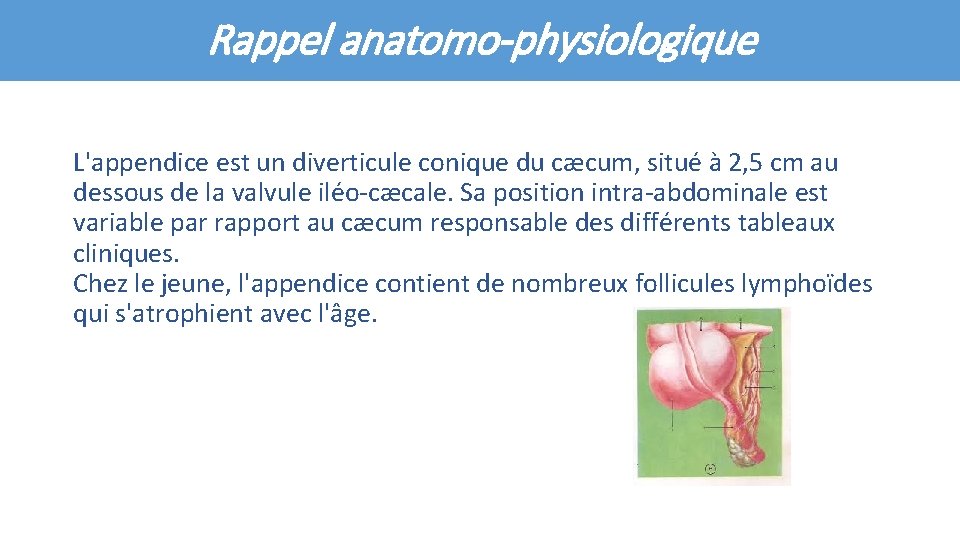 Rappel anatomo-physiologique L'appendice est un diverticule conique du cæcum, situé à 2, 5 cm