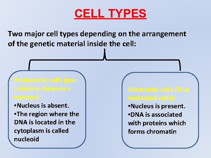 CELL TYPES Two major cell types depending on the arrangement of the genetic material