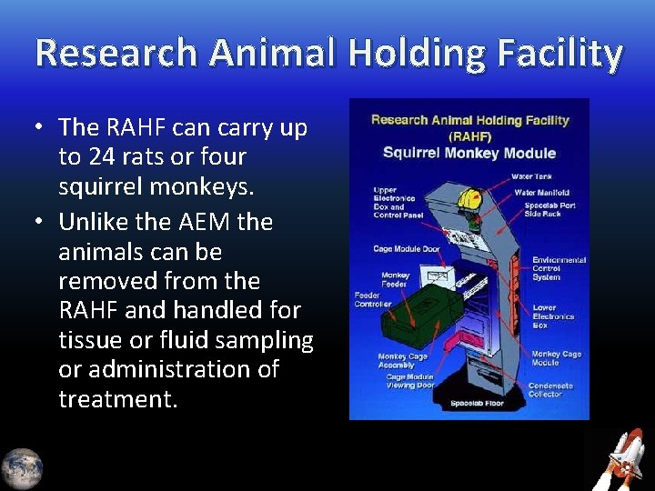 Research Animal Holding Facility • The RAHF can carry up to 24 rats or