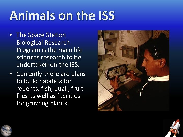 Animals on the ISS • The Space Station Biological Research Program is the main