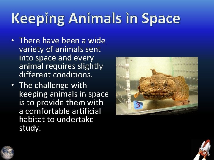 Keeping Animals in Space • There have been a wide variety of animals sent