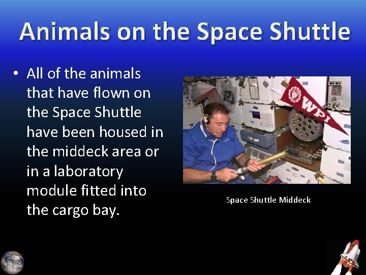 Animals on the Space Shuttle • All of the animals that have flown on