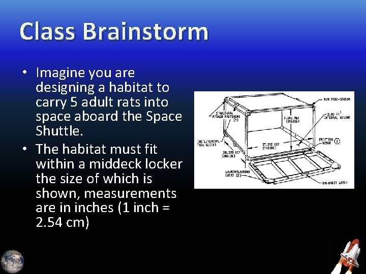 Class Brainstorm • Imagine you are designing a habitat to carry 5 adult rats