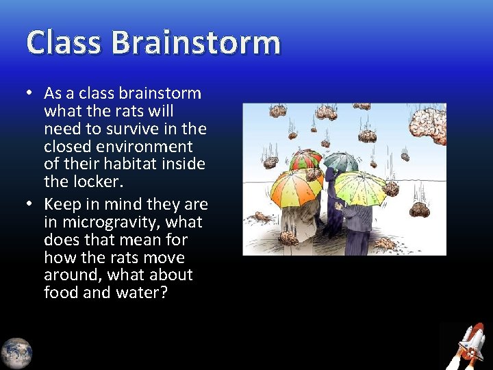 Class Brainstorm • As a class brainstorm what the rats will need to survive