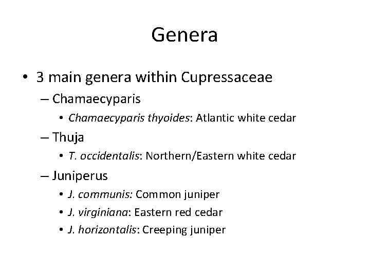 Genera • 3 main genera within Cupressaceae – Chamaecyparis • Chamaecyparis thyoides: Atlantic white Genera • 3 main genera within Cupressaceae – Chamaecyparis • Chamaecyparis thyoides: Atlantic white