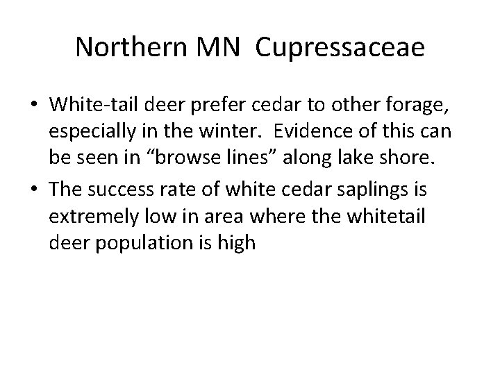 Northern MN Cupressaceae • White-tail deer prefer cedar to other forage, especially in the Northern MN Cupressaceae • White-tail deer prefer cedar to other forage, especially in the