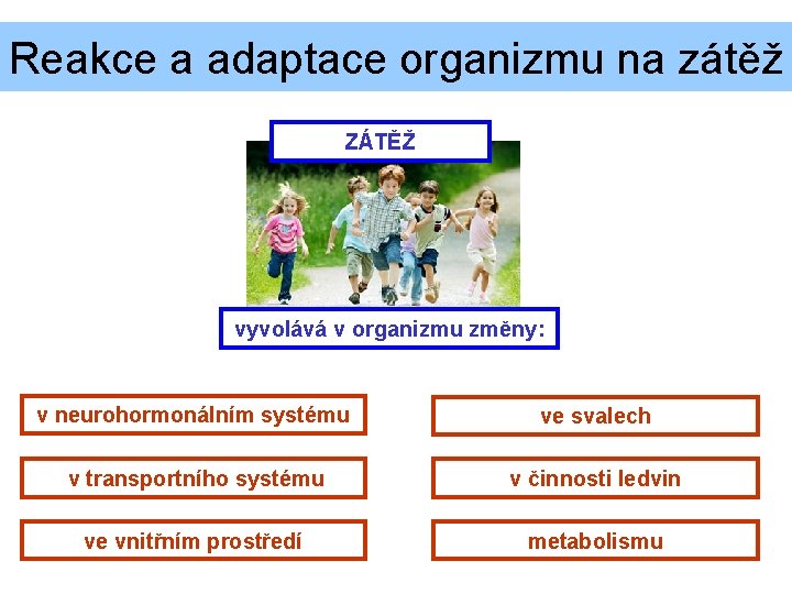 Reakce a adaptace organizmu na zátěž ZÁTĚŽ vyvolává v organizmu změny: v neurohormonálním systému