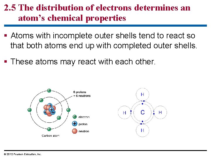 2. 5 The distribution of electrons determines an atom’s chemical properties § Atoms with