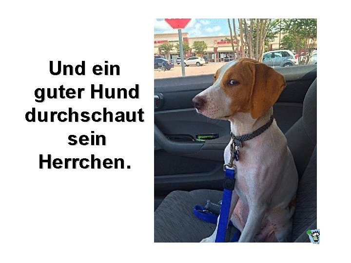 Und ein guter Hund durchschaut sein Herrchen. Und ein guter Hund durchschaut sein Herrchen.