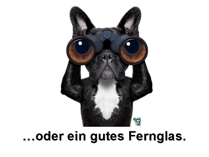 …oder ein gutes Fernglas. …oder ein gutes Fernglas.