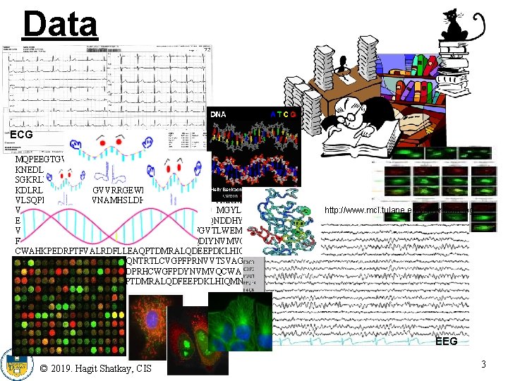 Data ECG MQPEEGTGWLLELLSEVQLQQYFLRLRDDLNVTRLSHFEYV KNEDLEKIGMGRPGQRRLWEAVKRRKALCKRKSWMSKVF SGKRLEAEFPPHHSQSTFRKTSPAPGGPAGEGPLQSLTCLIGE KDLRLLEKLGDGSFGVVRRGEWDAPSGKTVSVAVKCLKPD VLSQPEAMDDFIREVNAMHSLDHRNLIRLYGVVLTPPMKM VTELAPLGSLLDRLRKHQGHFLLGTLSRYAVQVAEGMGYL ESKRFIHRDLAARNLLLATRDLVKIGDFGLMRALPQNDDHY VMQEHRKVPFAWCAPESLKTRTFSHASDTWMFGVTLWEM FTYGQEWIGLNGSQILHKIDKEGERLPRPEDCPQDIYNVMVQ CWAHKPEDRPTFVALRDFLLEAQPTDMRALQDEEPDKLHIQ MNDVITVIEGRAENYWWRGQNTRTLCVGPFPRNVVTSVAG LSAQDISQPLQNSFIHTGGDSDPRHCWGFPDYNVMVQCWA