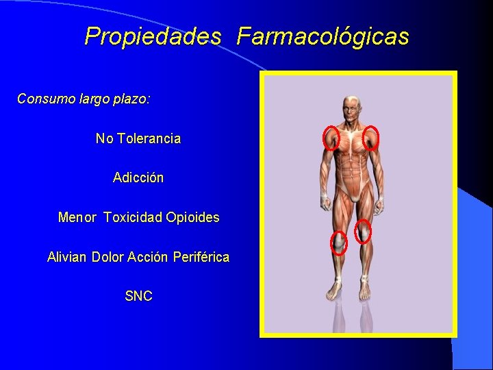 Propiedades Farmacológicas Consumo largo plazo: No Tolerancia Adicción Menor Toxicidad Opioides Alivian Dolor Acción